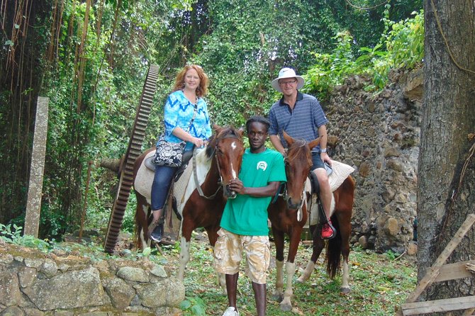 East Coast Horseback Riding & Waterfall Excursion - Key things that make this tour worth it