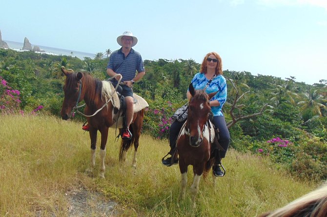 East Coast Horseback Riding & Waterfall Excursion - Pace, terrain, and the real comfort factor on horseback