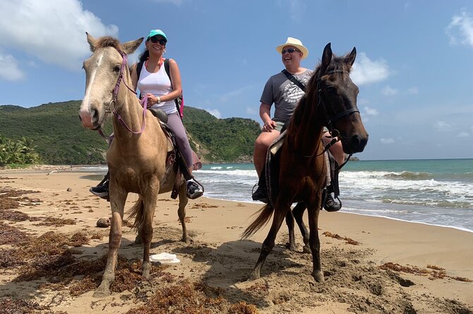 East Coast Horseback Riding, Waterfall & Soufriere Private Tour - A Full-Day Mix of Horses, Errand Falls, and La Soufrière