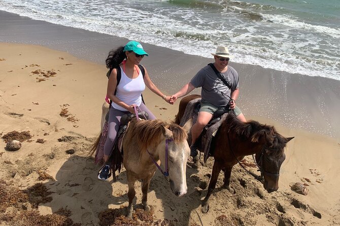 East Coast Horseback Riding, Waterfall & Soufriere Private Tour - Price and Value: $240 Per Person for a Three-Stop Day