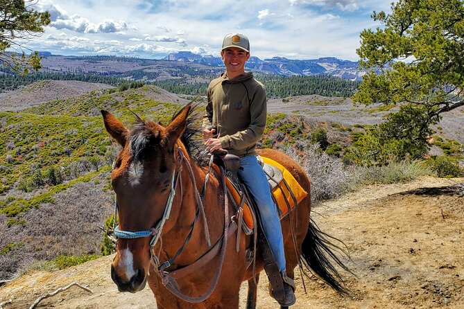 East Zion Pine Knoll Horseback Ride - Horses, Comfort, and the 220-lb Rule You Must Plan Around