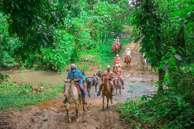 Eco Aventure Park+ Zipline+Horseback Ride+Buggy - Zipline in Anamuya: 8 Carbon Lines and a Suspension Bridge