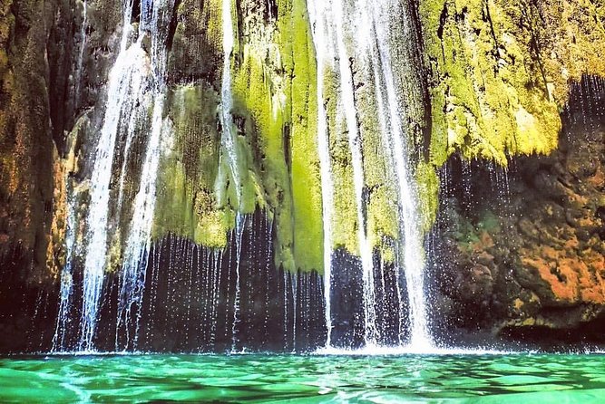 El Limón waterfalls Tour (horse riding & swimming) with lunch - The plantation stops: cacao, coffee, and coconut you’ll actually see