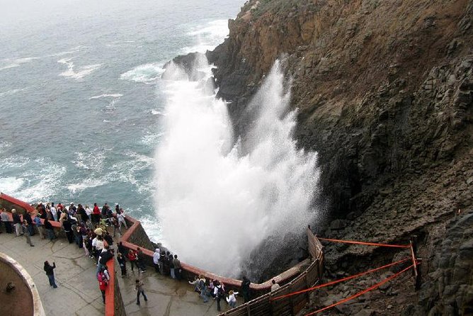 Ensenada Shore Excursion: Blowhole and La Bufadora Tour with Horseback Riding - Getting Started: Meeting at Malecon De Ensenada and Staying Sane