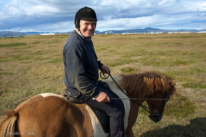 Experience Countryside of Iceland by Horseback Riding - Tölt gait 101: why Icelandic horses feel different