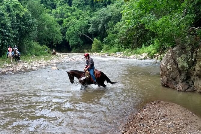Experience Horse Riding, ATV & Zipline from Puerto Vallarta - A One-Day Puerto Vallarta Adventure Plan That Actually Makes Sense