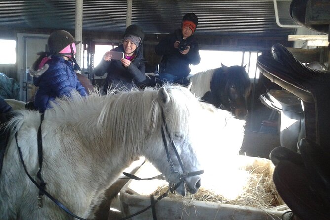 Family Horse Riding Tour in Thorlakshofn - Key things to know before you ride