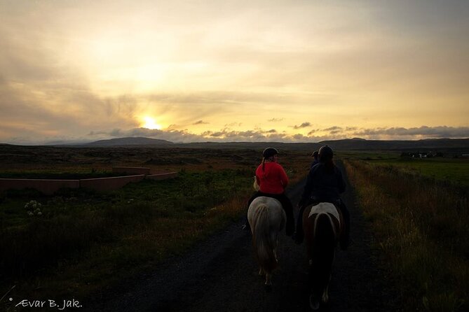 Family Horse Riding Tour in Thorlakshofn - Þorlákshöfn to Krýsuvík: riding over lava, steam, and sea views