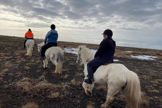Family Horse Riding Tour in Thorlakshofn - Price and what you actually get for $180