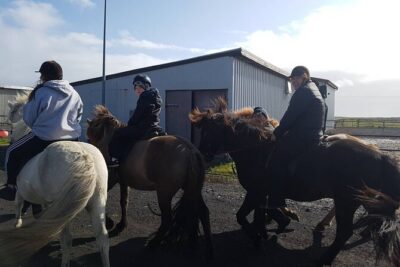 Family Horse Riding Tour in Thorlakshofn - The Strandakirkja church stop: ocean cliffs in full drama