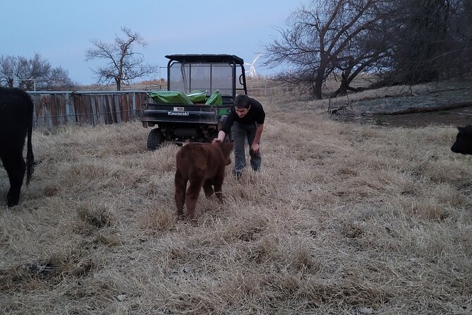 Farm Adventure Experience in Red Hill Ranch - Key Highlights You Should Know Before You Go