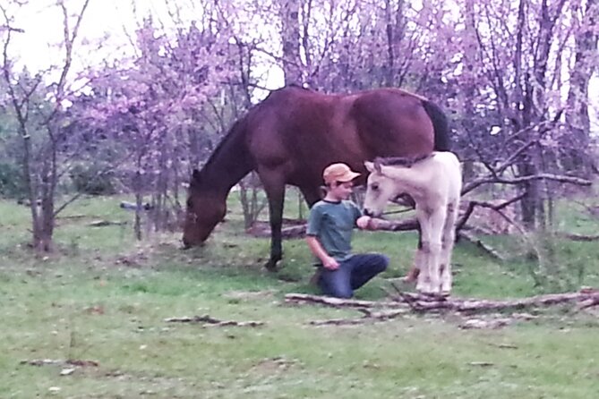 Farm Adventure Experience in Red Hill Ranch - Grooming Horses: A Calmer Skill Set (And a Great Photo Moment)