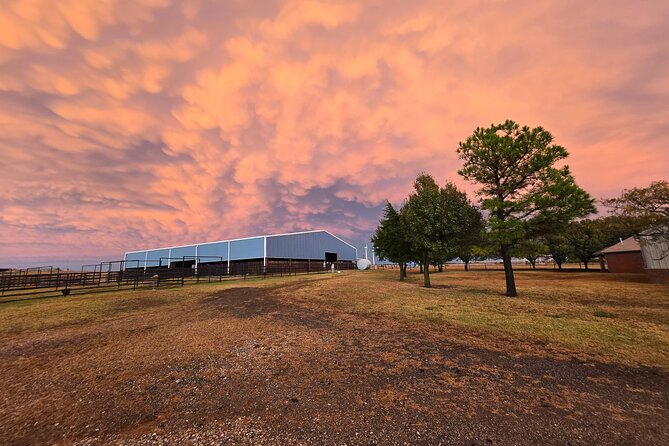 Farm Adventure Experience in Red Hill Ranch - Lunch With Ranch Beef: Why This Meal Changes the Whole Day