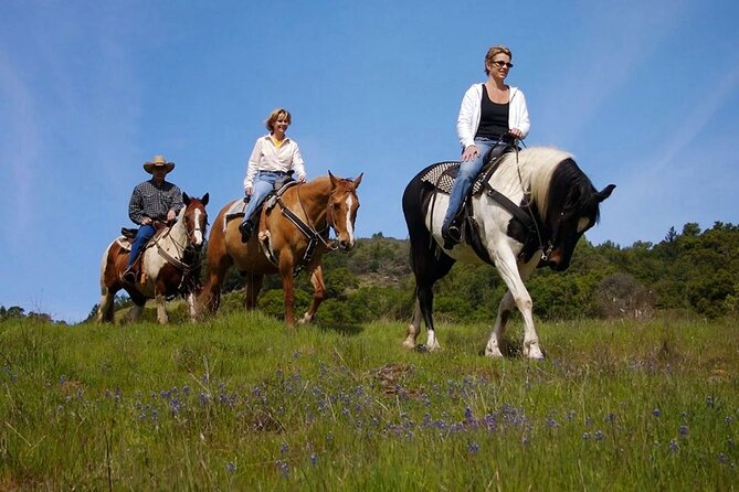 Fethiye Horse Riding Experience With Free Hotel Transfer Service - Getting in the Saddle: Training, Safety Gear, and What to Wear