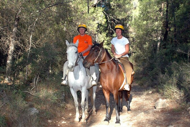 Fethiye Horse Riding Experience With Free Hotel Transfer Service - Horses and Staff: What Beginner Riders Should Expect