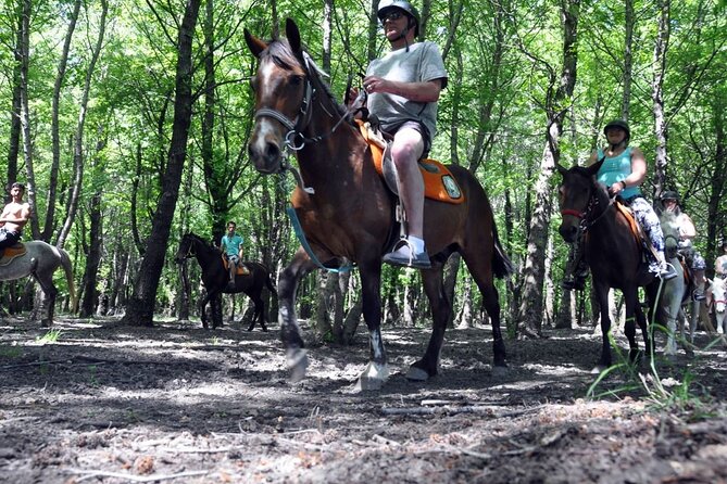 Fethiye Horse Riding Experience With Free Hotel Transfer Service - Who This Tour Fits Best (And Who Should Skip It)