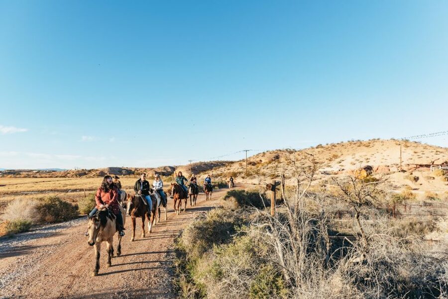 From Las Vegas: Desert Sunset Horseback Ride with BBQ Dinner - The Ranch Animals and Extra Ranch Fun You’ll Actually Remember