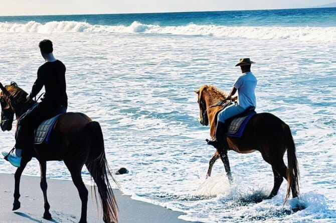 From Ubud 1 Hour Horse Riding at The Beach Experiences - Ubud to Saba Beach: How the Pickup Makes This Work