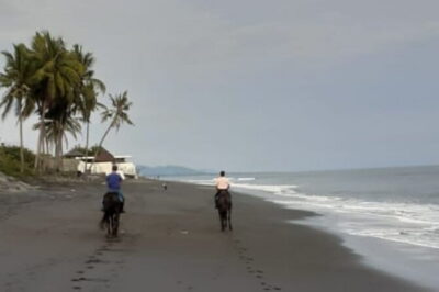 From Ubud 1 Hour Horse Riding at The Beach Experiences - Helmet, Safety Briefing, and Rider Matching