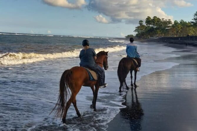 From Ubud 1 Hour Horse Riding at The Beach Experiences - Weather and Timing: The Stuff You Should Plan Around