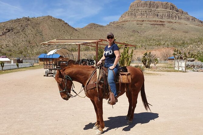 Full Day Grand Canyon Trip with Horseback Ride From Las Vegas - Who this tour suits best (and who should rethink it)