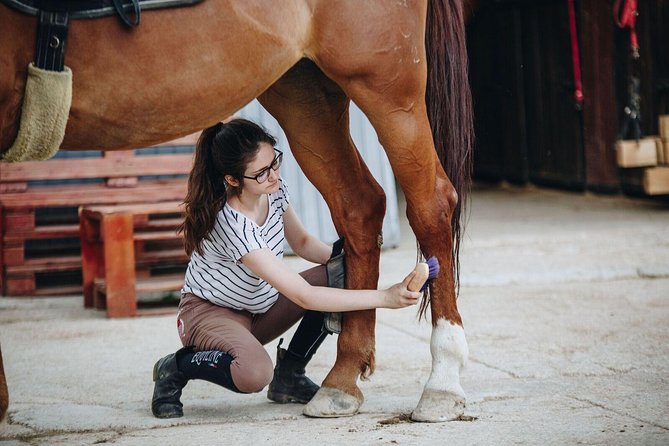 Full day Horse riding & Quad biking - Dinara Mountain quad biking: 3 hours guided off-road style
