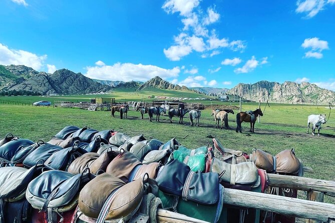 Full Day Private Tour in Terelj National Park with Horse Riding - Horse Riding in Terelj: You Don’t Need Experience, You Need Good Guidance