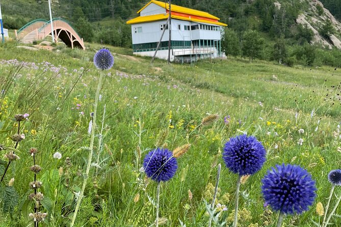 Full Day Private Tour in Terelj National Park with Horse Riding - Price and Value: What $130 Buys in a Private Full-Day Format