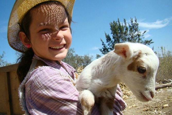 Full-Day Ranch Adventure and Horseback Riding Tour - Quick Takes: Why This Ranch Day Feels Special