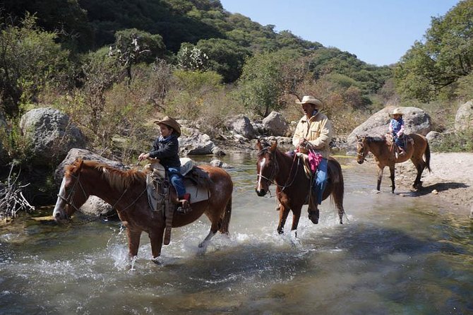 Full-Day Ranch Adventure and Horseback Riding Tour - Price and Value: Is $224 Worth It?