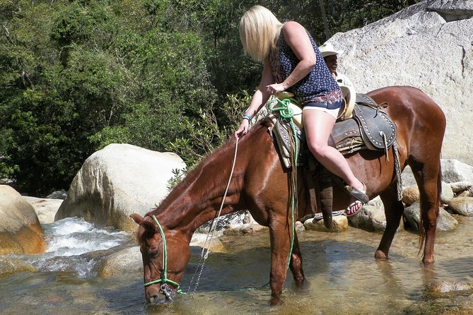 Fun Horseback Tour in Mismaloya - Getting Out of Puerto Vallarta Fast: Mismaloya’s Mountain Ride