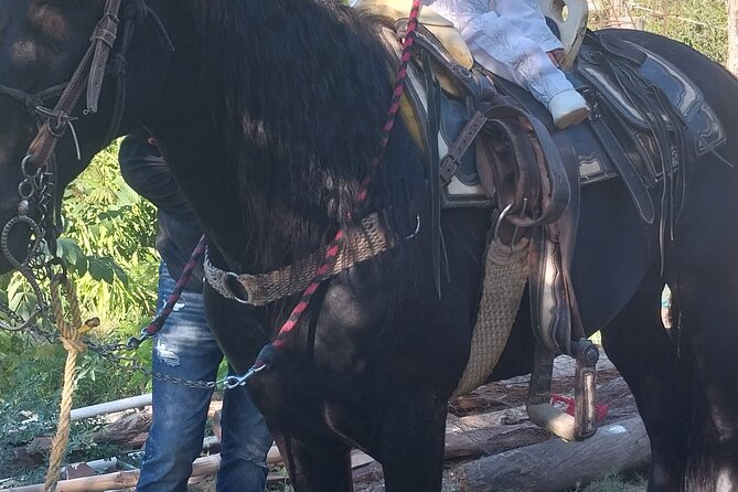 Fun Horseback Tour in Mismaloya - What to Pack (So You Don’t Regret It at El Edén)