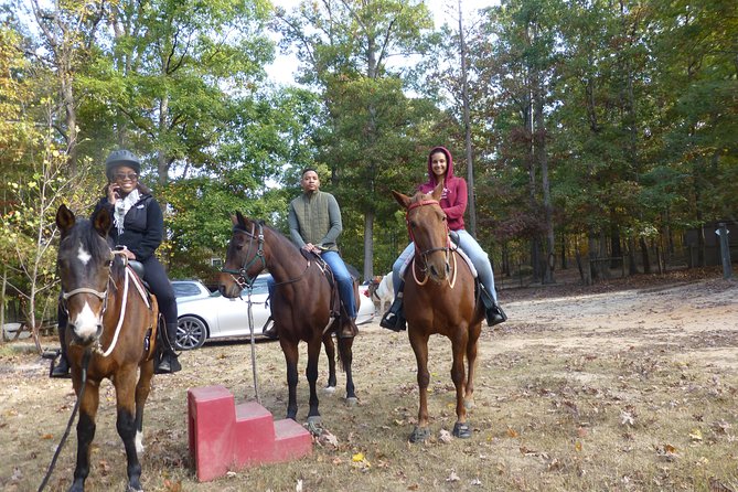 Georgia Horseback Ride with Wine Tasting - Key Things to Know Before You Go