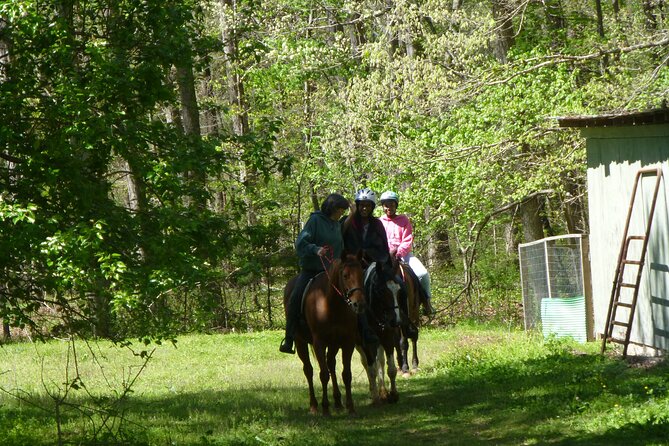 Georgia Horseback Ride with Wine Tasting - Picnic Lunch Before Wine: What’s Included and Why It Matters