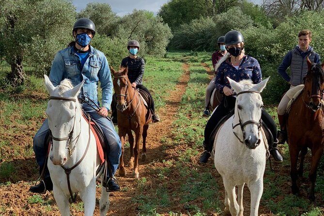 Granada & Sierra Nevada Horse Riding Tour - Getting to the Ranch: Pickup, Meeting Point, or Going on Your Own