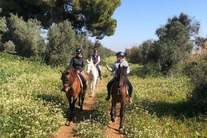 Granada & Sierra Nevada Horse Riding Tour - Included vs Not Included: What You’re Really Paying For