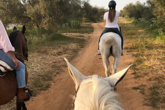 Granada & Sierra Nevada Horse Riding Tour - Private Options and Ranch Choices for Small Groups