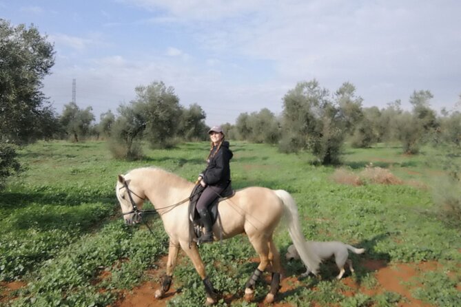 Granada & Sierra Nevada Horse Riding Tour - Safety and Fit: Helmets, Physical Limits, and Rider Comfort