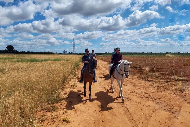 Granada & Sierra Nevada Horse Riding Tour - Weather Matters in the Sierra Nevada Foothills
