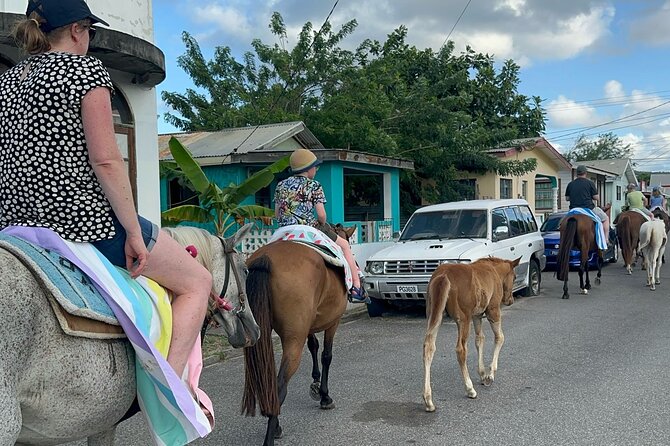 Gros Islet Village Horseback Riding run with Dore's riding Stable - Lower Cap Estate to Pigeon Pointe Beach: the views build fast