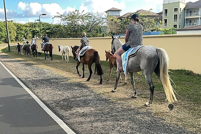 Gros Islet Village Horseback Riding run with Dore's riding Stable - The Piton beer stop: a short break that makes the ride feel local