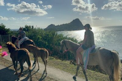 Gros Islet Village Horseback Riding run with Dore's riding Stable - Gros-Islet Village arrival: where Friday Night Street Party lives