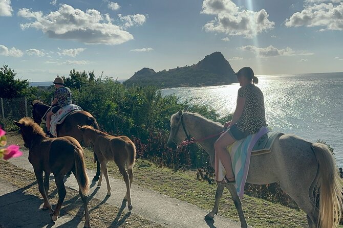 Gros Islet Village Horseback Riding run with Dore's riding Stable - Gros-Islet Village arrival: where Friday Night Street Party lives