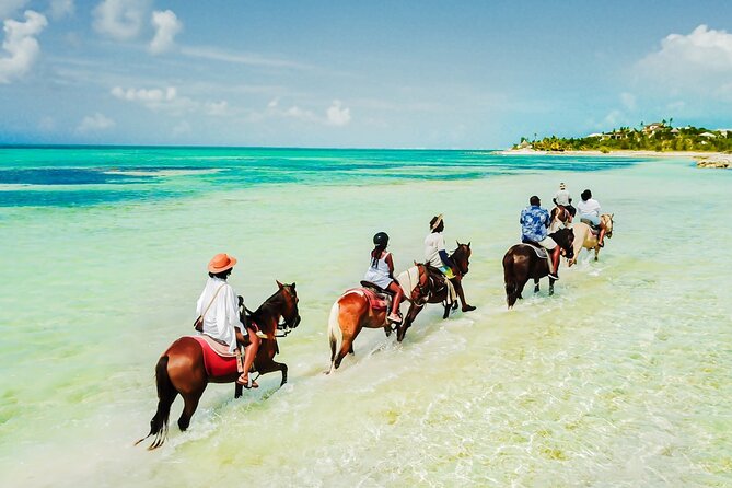 Group Beach and Ocean Horseback Adventure in Providenciales - Key points to know before you ride
