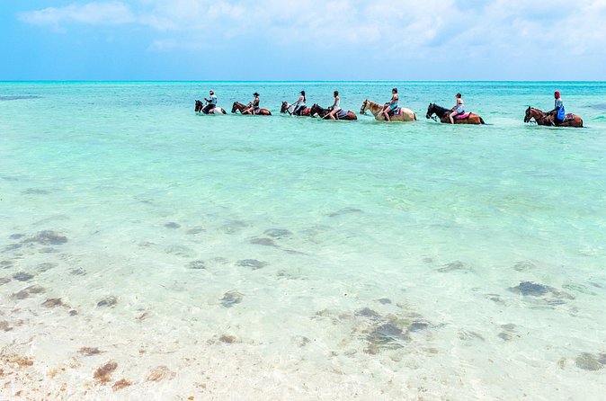 Group Beach and Ocean Horseback Adventure in Providenciales - Guides, drinks, and the conch shell keepsake