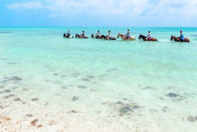 Group Beach and Ocean Horseback Adventure in Providenciales - Beach riding and surf views: what happens during the ride