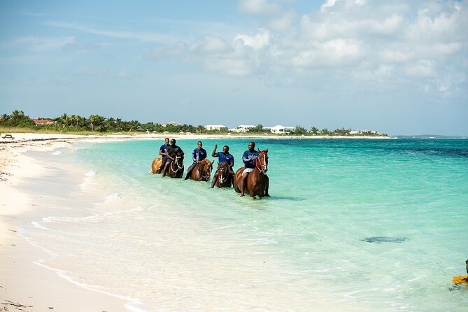 Group Beach and Ocean Horseback Adventure in Providenciales - Group size and timing: how this fits a Turks and Caicos day