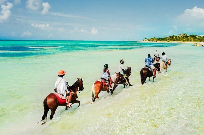Group Beach and Ocean Horseback Adventure in Providenciales - Price and value: does $254 make sense?