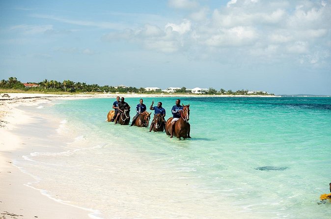 Group Beach and Ocean Horseback Adventure in Providenciales - What to bring (and what to skip)