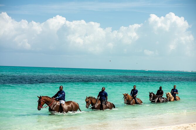 Group Beach and Ocean Horseback Adventure in Providenciales - Who should book this tour (and who should pass)